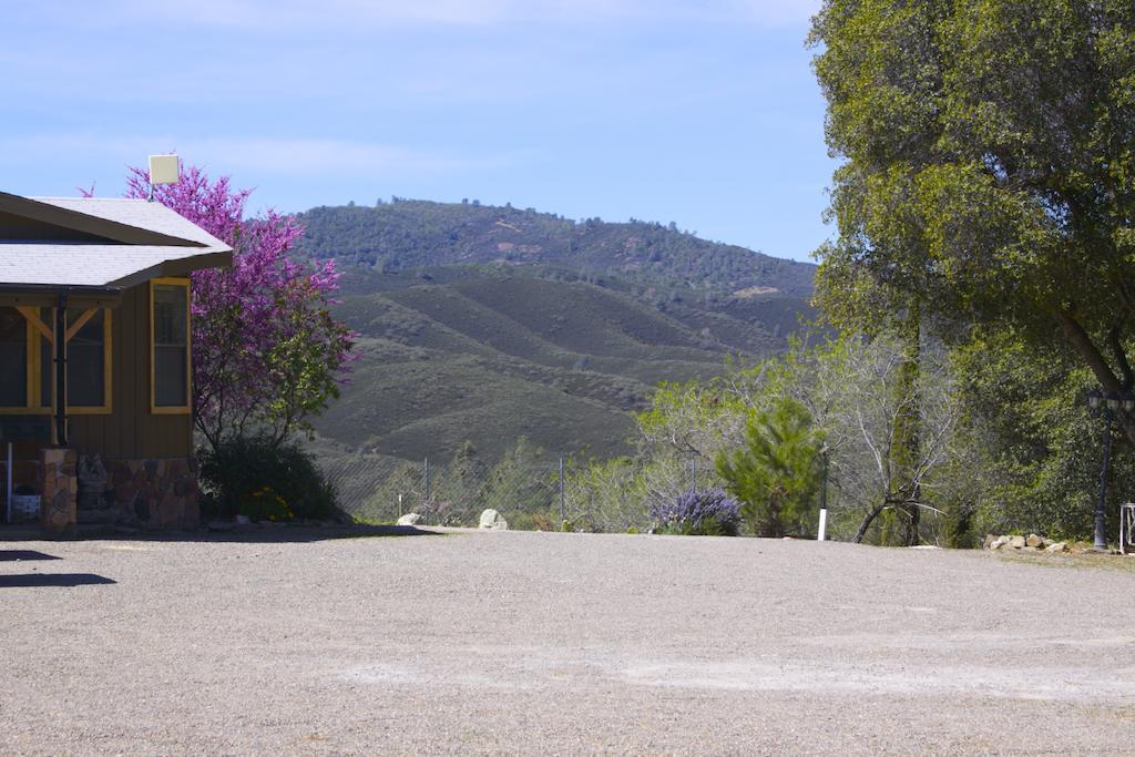 Yosemite Gold Country Lodge Coulterville Buitenkant foto